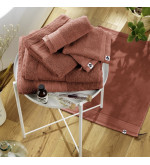 Lot de 2 gants de toilette