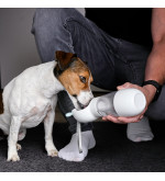 Gourde pour chien | Esprit Cottage