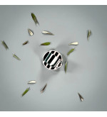 Tasses Espresso Stripes - Lot de 2 | Esprit Cottage