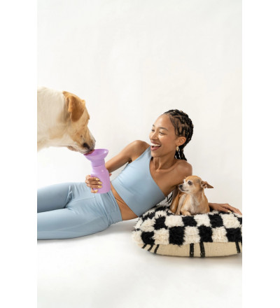 copy of Gourde pour chien