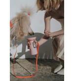 copy of Gourde pour chien