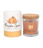 Bougie automnale épices - citrouille