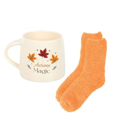Ensemble tasse d'automne et chaussettes
